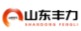 ​山东丰力重工有限公司